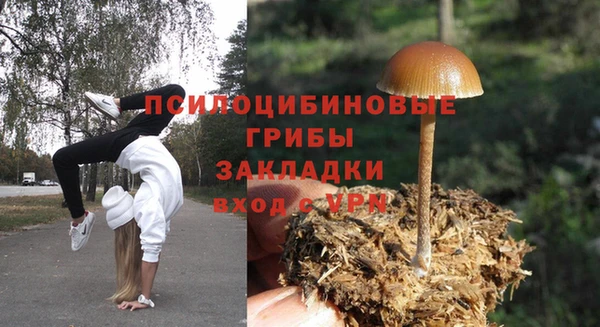 не бодяженный Медвежьегорск