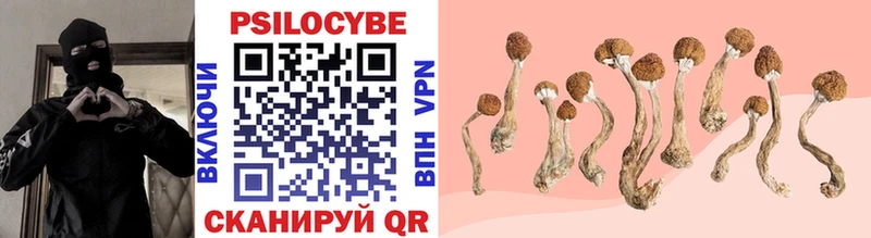 Псилоцибиновые грибы Psilocybine cubensis  Чайковский 