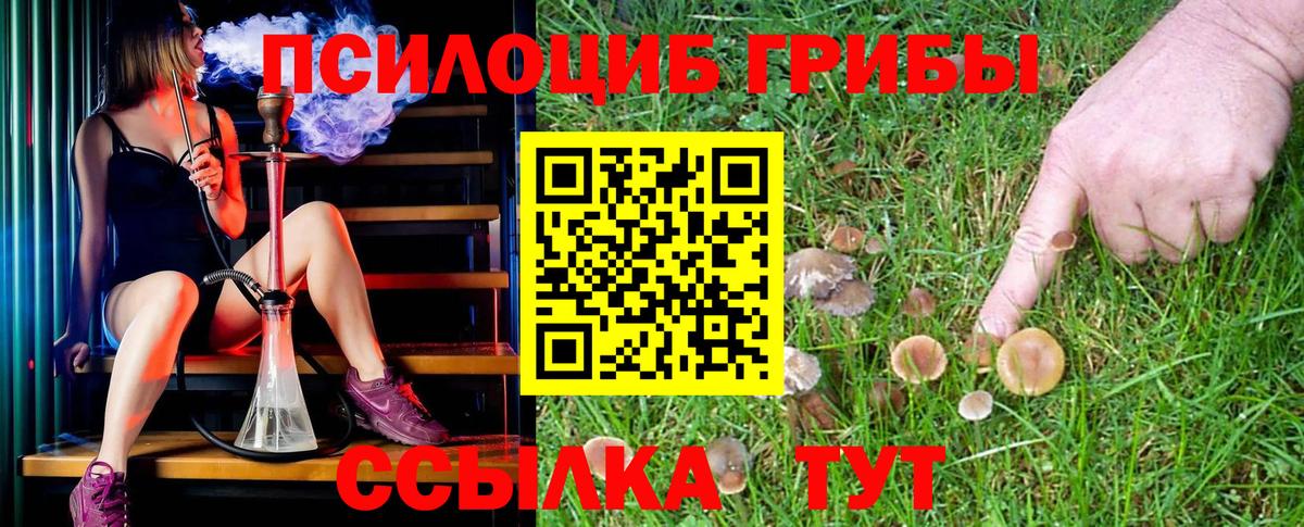 Галлюциногенные грибы Cubensis  Вход с VPN  Чайковский 