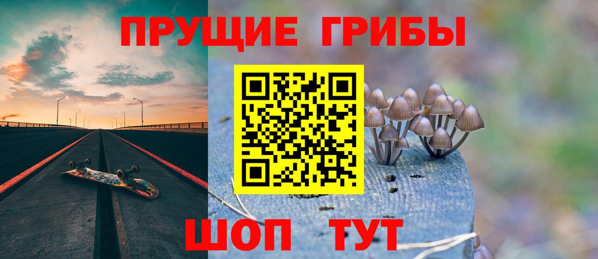 Галлюциногенные грибы Psilocybine cubensis Чайковский