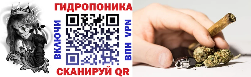 Шишки марихуана Amnesia Чайковский